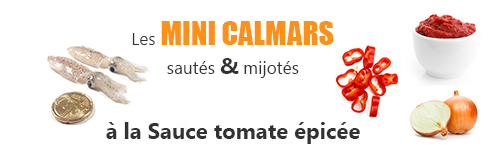 recette lefish gourmand de petits calmars chipirons mijotes sauce tomate et piment d'espelette
